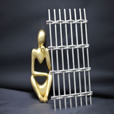 Weft Pitch 15mm Customizable Wire Mesh Grilles In Silver Golden Black Colors